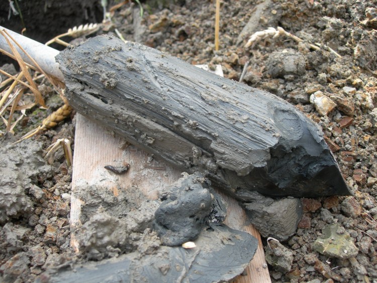 En potentiell sur sulfatjord som är svart eller mörkgrå i färgen.